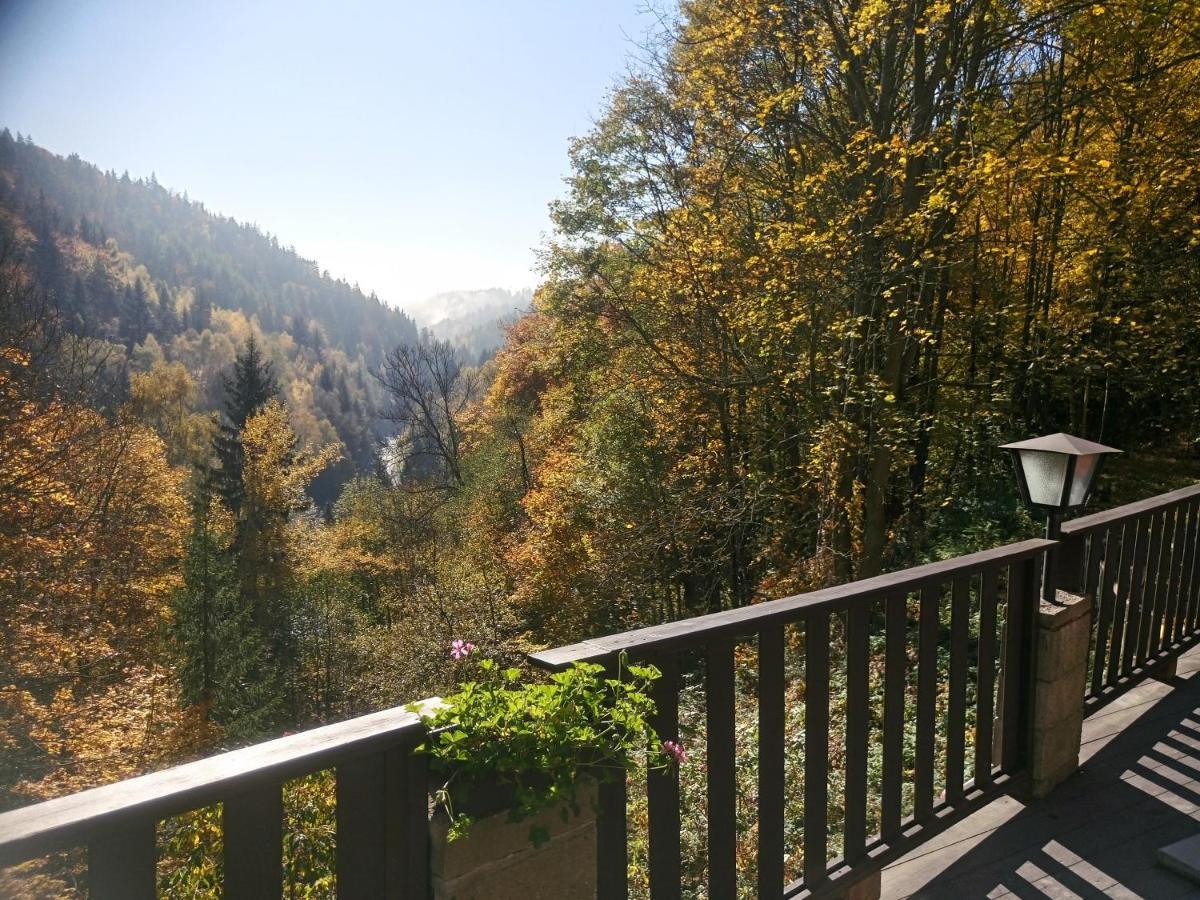 Penzion a Restaurace Belveder Jáchymov Exteriér fotografie